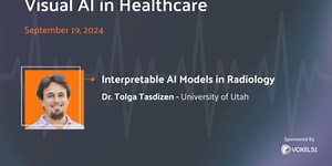 Visual AI in Healthcare: Interpretable AI Models in Radiology
