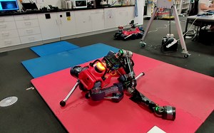 【转】基于学习使用机械臂减少跌倒损伤和恢复