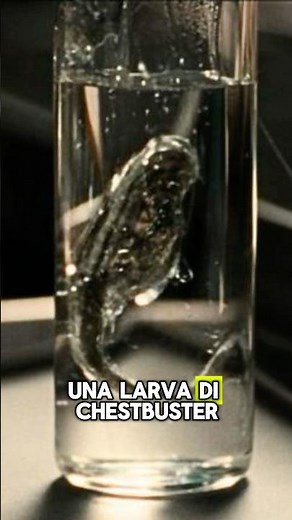 Come i Facehugger creano gli Xenomorfi #alien #xenomorph