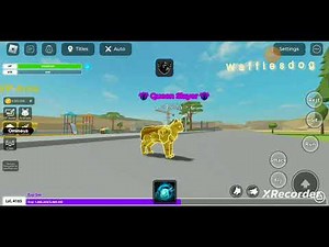 how to get executer key (easy) in animal adventure