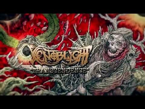 Xenoblight - Transcendence [Lyric Video]