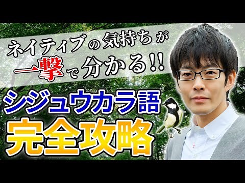 [Permanent Edition] The ultimate video that will help you understand the Tit language in one go #252