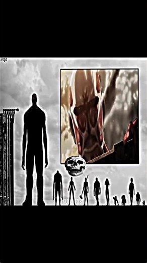 Biggest Titan Ever? Size Comparison of AoT Titans ‼️