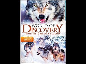 ABC World of Discovery - Wolf: Return of a Legend (1993 full documentary)