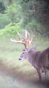 134 reactions · 36 shares | From the pop-up! | Back Porch Ranch | Facebook