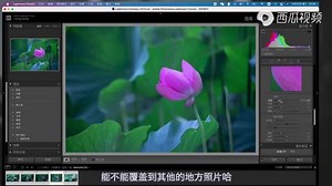 如何批量处理RAW格式？90以上的摄影师都用这软件，比PS还受欢迎