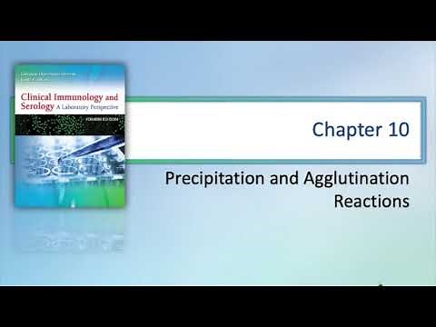 Precipitation and Agglutination