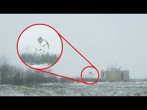 5 RAKE CAUGHT ON CAMERA & SPOTTED IN REAL LIFE! 2