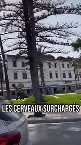 La Maroco-thérapie ❤️ #morocco #Maroc #marokko #marruecos #patrimoine #cultural #hospitality #welcome #authenticity #typical #history #marrakech #agadir #atlanticocean #sun #visit #travel #visitmorocco #Amazing #beautiful #Afrique #africa #goodvibes #viralpost2025シ | MAROC