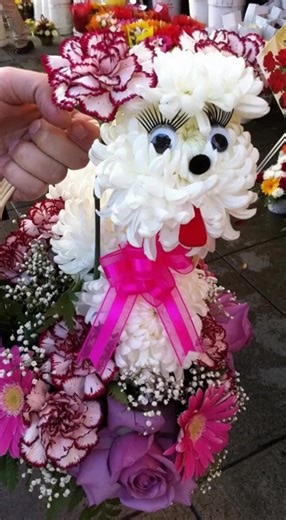 Viking Death Metal is the perfect soundtrack to this floral poodle!! #amonamarth #valentinesday #love #flowerpoodle