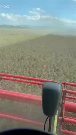 #zniwa2025🚜🌾🚨 #lexion770 #lexion8900 #slowacja🇸🇰 #dc #graoplonv2