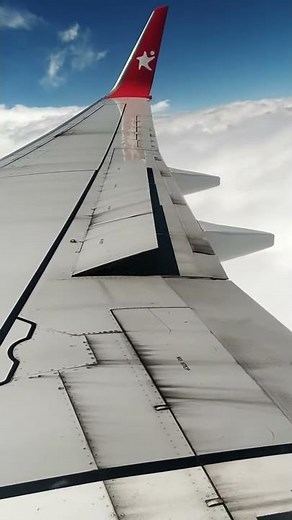 working of an aileron, flaps, spoiler of an aeroplane.. Watch till the End