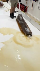 Watch me clean this antique rug | Rug Hubb