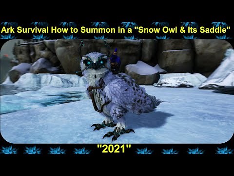 Ark Survival How to Summon in a "Snow Owl & Its Saddle" 2021