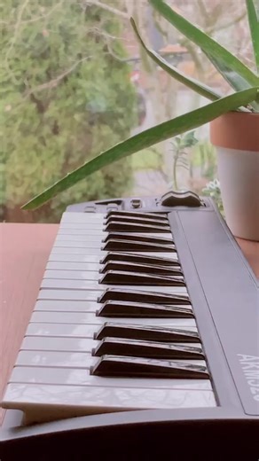 Mesmerizing Piano and Keyboard Looping Performance