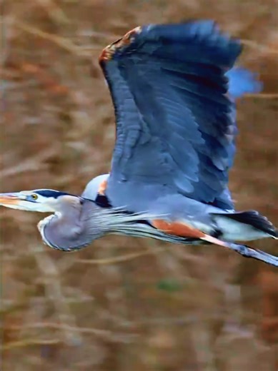 Imani da Gaibi: Siffa ta Musulunci