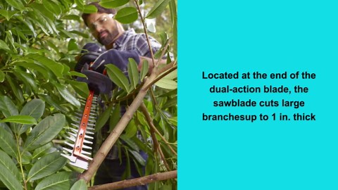 BLACK+DECKER Hedge Trimmer, Dual-Action Blade, 16-Inch (BEHTS125)