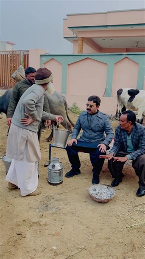 Lo g bainss ka dudh chack krty huway. #rehanmalik100000 @Malik Rehan Awan😎✌🏻 @malikzahid10000 #rehanmalik100000