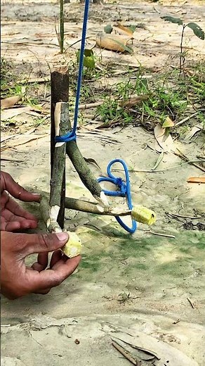 Smart Rope Trap Trick 🔥 Simple Survival Hack You Must See!