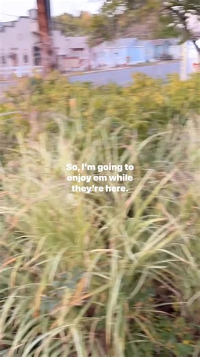 New Buffalo Inn & Spa on Reels | Facebook