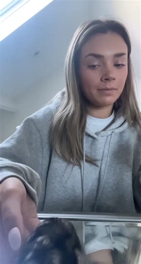 Makeup Tutorial with a Clingy Russian Dwarf Hamster