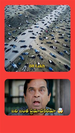 ఇది మనుషులకు ఇంత ప్రమాదకరమా 😱🤯 | STK FACTS