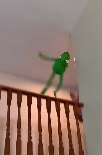 Kermit the Frog Face Meme - Hilarious Wallace Gromit Memes