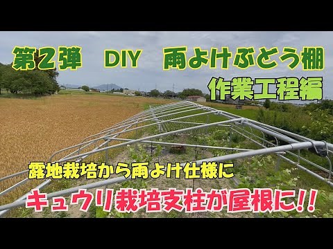 第２弾 DIY 雨よけぶどう棚 作業工程編