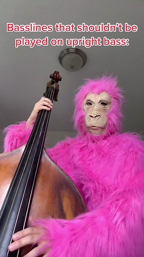 Bass Solo: Seinfeld Theme Slapped on Upright Bass