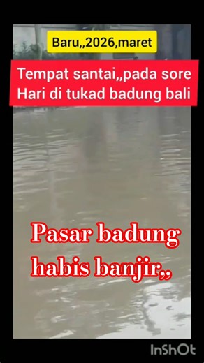 habis banjir,funny dog,cat,bali popular