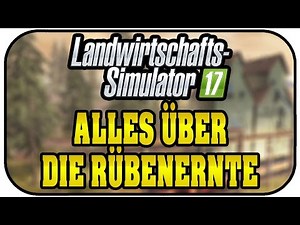 LS17 Alles über die Rübenernte - Landwirtschaft Simulator 17 Deutsch