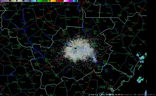 The last several mornings, our radar has picked up on Purple Martins leaving their roost around sunrise. They look to be resting at night around Lake Murray and Lake Marion before taking off in droves each morning! | US National Weather Service Columbia South Carolina