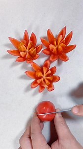 10K views · 33 reactions | Easy Tomato  Fruit Carving #carving #fruitcarving #carvingart #fruitart #fruits #carvingknife #fruitdecor #art #foodart #fruitplatter | Fruit Art Style | Facebook