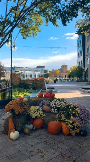 It’s time to fall in love with St. Charles all over again 🍂 | Travel St. Charles, IL