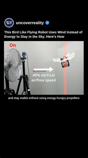 This Bird Like Flying Robot Uses Wind Instead Of Energy To Stay In The Sky. Heres How #robot #shorts