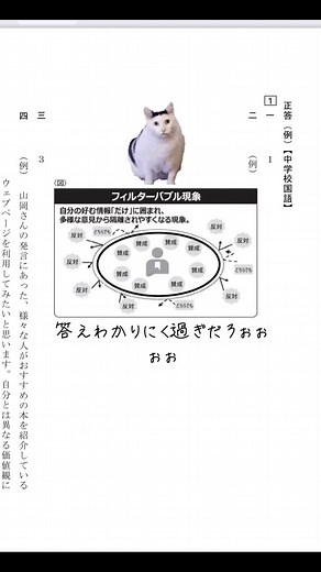全部囲むとか聞いてねぇヨォぉぉぉ！！！ #全国学力調査テスト #勉強 #中3 #フィルターバブル現象
