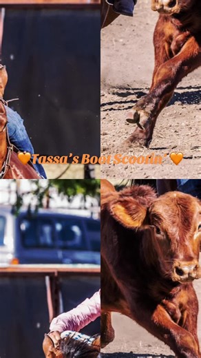 🧡Robbie D (@robbie_drake)’s videos with Boot Scootin' Boogie (Club Mix) - Brooks & Dunn