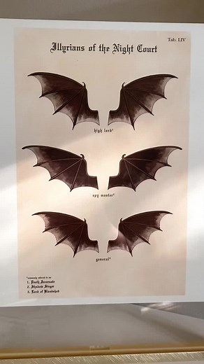 Exploring Azriel's Wingspan in ACOTAR Fan Art