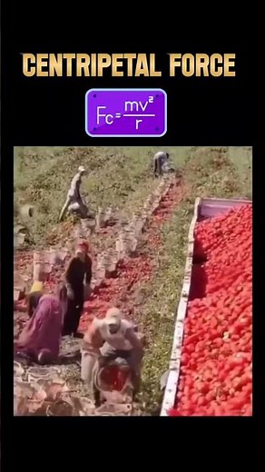 🍅 Centripetal Force in Action! The Tomato Throw Trick