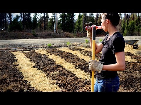 Turning this Bare Land into a Garden