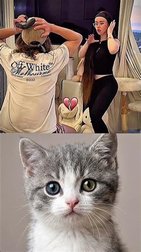 #memes