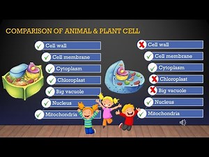 Science Form 1 Chapter 2 Part 1 (Cell as a Basic Unit of Life)