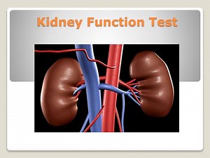 Kidney Function test - SlideServe