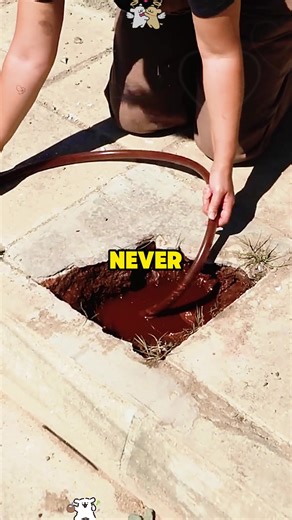 Discover the New World of Frozen at Disneyland Paris