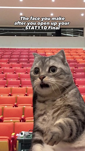 Well that was harder than expected 😂 have a good break! #CapCut #Harvard #STAT110 #FinalsHumor #HarvardCollege #Finals #ThatWasNotEasy #IsItBreakYet