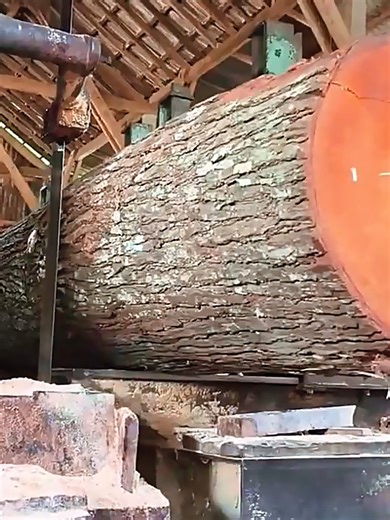 From Rugged Bark to Refined Timber: Sawing Large Bumpy Logs at the Sawmill 🌲