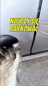 Na drugi raz … #truckdriver #trucker #camionista #kierowcaciężarówki