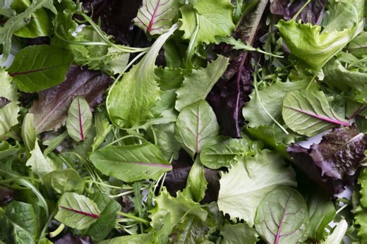 Salad kits sold in 25 states recalled over undeclared allergens