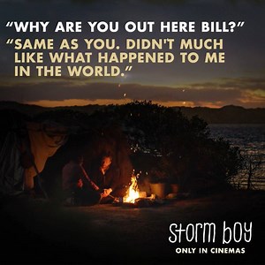 Get ready to experience this summer's must-see family film.⠀ ⠀ STORM BOY - in cinemas NOW. | Sony Pictures