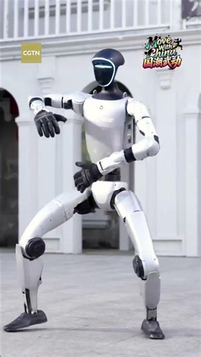 Move with China: When robots throw punches